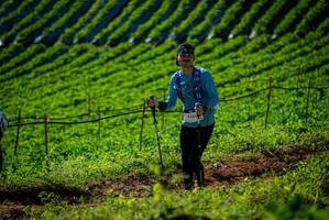 BIB: 9286
                            <button type="button" onclick="openModal(19160890)" class="btn btn-primary btn-sm float-right btn-popup" data-toggle="modal" data-target=".modal-high-quality">
                        <i class="fas fa-shopping-cart"></i> Add to Cart
                    </button>
                                            <button type="button" onclick="isThisMe(19160890, true)" class="btn btn-success btn-sm float-right btn-popup btn-isme hidden" data-toggle="tooltip" data-placement="bottom" title="นี่คือรูปของคุณใช่ไหม คลิกที่นี่เพื่อเอาเข้าอัลบั้ม">
                        <i class="fas fa-plus"></i> Add to album
                    </button>
                    <button type="button" onclick="isThisMe(19160890, false)" class="btn btn-warning btn-sm float-right btn-popup btn-isnotme hidden">
                        <i class="fas fa-ban"></i> Remove from album
                    </button>